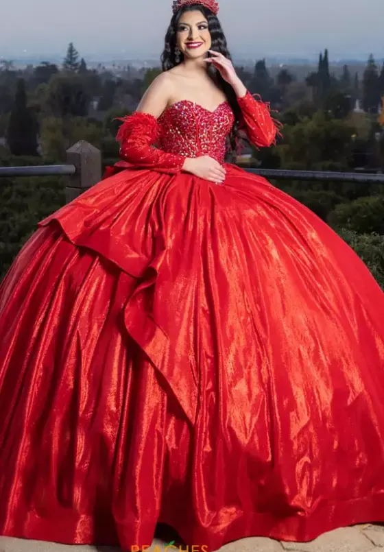 Quince Dresses With Sleeves|Plus Sized Quince Dresses^LizLuo Quinceanera 26097