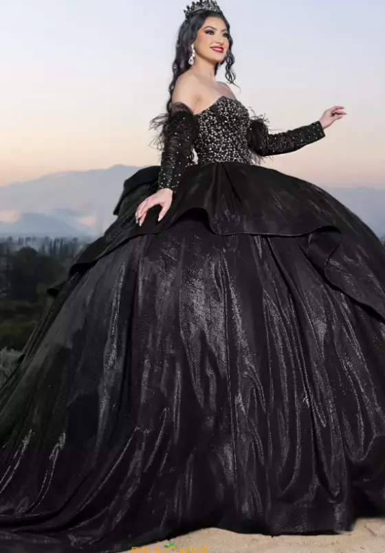 Quince Dresses With Sleeves|Plus Sized Quince Dresses^LizLuo Quinceanera 26097