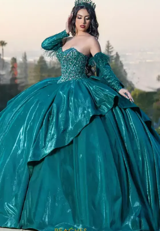 Quince Dresses With Sleeves|Plus Sized Quince Dresses^LizLuo Quinceanera 26097