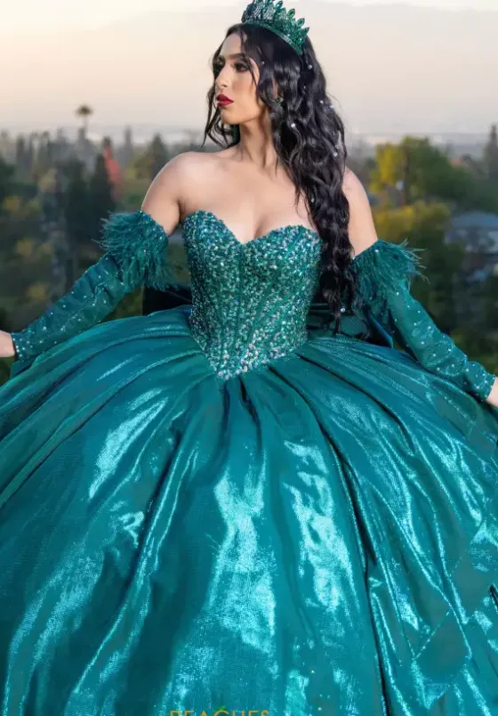 Quince Dresses With Sleeves|Plus Sized Quince Dresses^LizLuo Quinceanera 26097