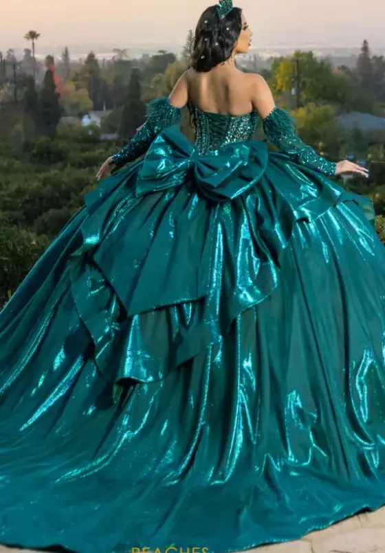 Quince Dresses With Sleeves|Plus Sized Quince Dresses^LizLuo Quinceanera 26097