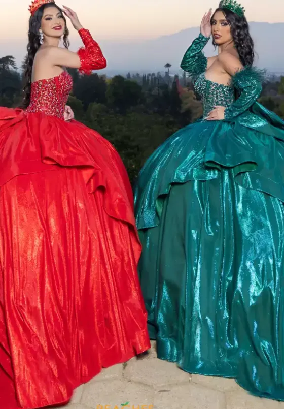 Quince Dresses With Sleeves|Plus Sized Quince Dresses^LizLuo Quinceanera 26097