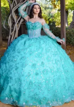 Quince Dresses With Sleeves|Plus Sized Quince Dresses^LizLuo Quinceanera 26085
