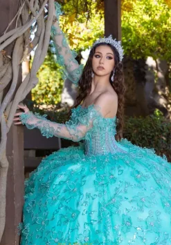 Quince Dresses With Sleeves|Plus Sized Quince Dresses^LizLuo Quinceanera 26085