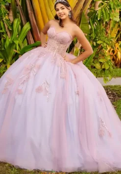 Sweet Sixteen|Plus Sized Quince Dresses^LizLuo Quinceanera 56521