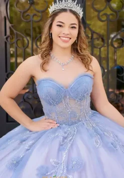 Sweet Sixteen|Plus Sized Quince Dresses^LizLuo Quinceanera 56521