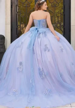 Sweet Sixteen|Plus Sized Quince Dresses^LizLuo Quinceanera 56521
