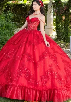 Plus Sized Quince Dresses|Sweet Sixteen^LizLuo Quinceanera 56531