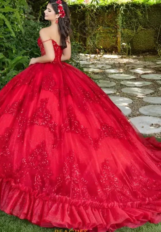 Plus Sized Quince Dresses|Sweet Sixteen^LizLuo Quinceanera 56531