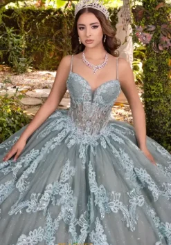 Plus Sized Quince Dresses|Sweet Sixteen^LizLuo Quinceanera 56531