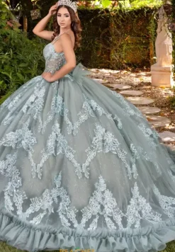 Plus Sized Quince Dresses|Sweet Sixteen^LizLuo Quinceanera 56531
