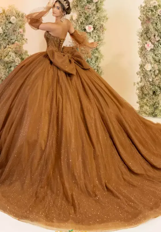 Plus Sized Quince Dresses^LizLuo Quinceanera 56552