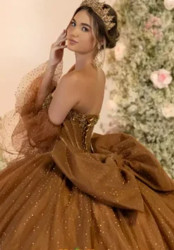 Plus Sized Quince Dresses^LizLuo Quinceanera 56552