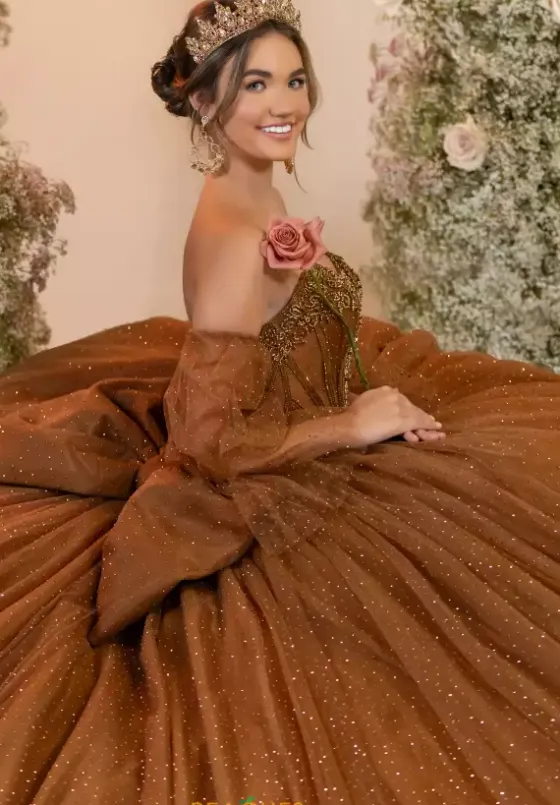 Plus Sized Quince Dresses^LizLuo Quinceanera 56552