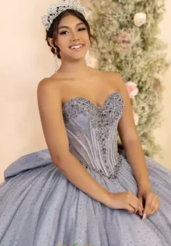 Plus Sized Quince Dresses^LizLuo Quinceanera 56552