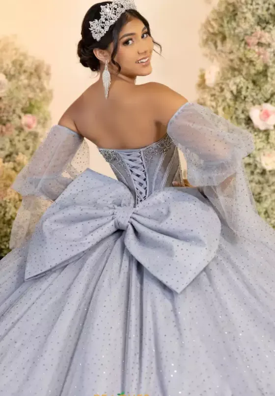 Plus Sized Quince Dresses^LizLuo Quinceanera 56552