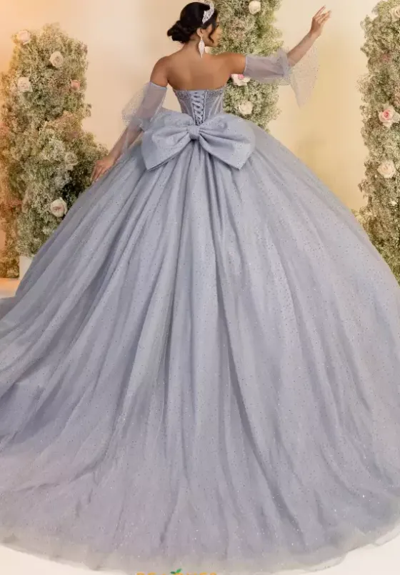 Plus Sized Quince Dresses^LizLuo Quinceanera 56552