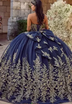 Plus Sized Quince Dresses^LizLuo Quinceanera 56540