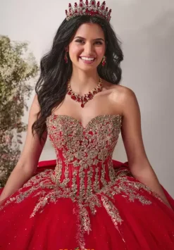 Plus Sized Quince Dresses^LizLuo Quinceanera 56540