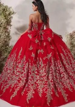 Plus Sized Quince Dresses^LizLuo Quinceanera 56540