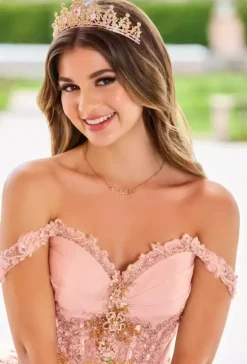 Plus Sized Quince Dresses|Sweet Sixteen^Princesa Quinceanera PR30154
