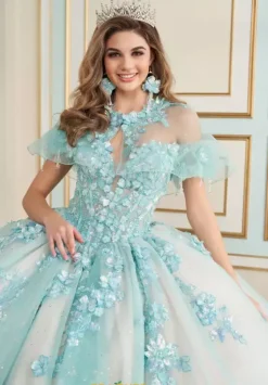 Plus Sized Quince Dresses|Sweet Sixteen^Princesa Quinceanera PR30174