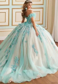 Plus Sized Quince Dresses|Sweet Sixteen^Princesa Quinceanera PR30174