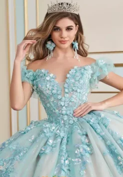 Plus Sized Quince Dresses|Sweet Sixteen^Princesa Quinceanera PR30174