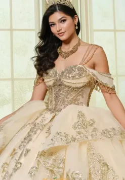 Plus Sized Quince Dresses|Sweet Sixteen^Princesa Quinceanera PR30205