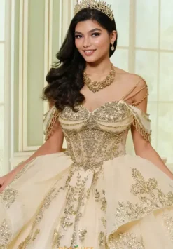 Plus Sized Quince Dresses|Sweet Sixteen^Princesa Quinceanera PR30205