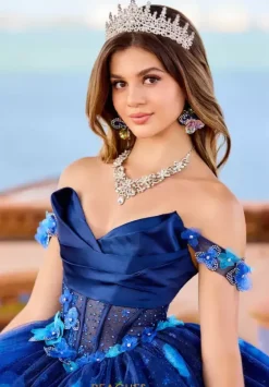 Plus Sized Quince Dresses|Sweet Sixteen^Princesa Quinceanera PR30159