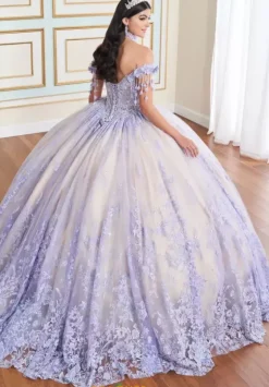 Plus Sized Quince Dresses|Sweet Sixteen^Princesa Quinceanera PR30172