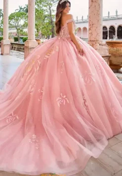 Plus Sized Quince Dresses|Sweet Sixteen^Princesa Quinceanera PR30156