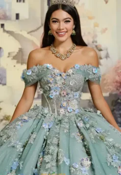 Plus Sized Quince Dresses|Sweet Sixteen^Princesa Quinceanera PR30175