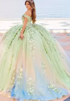 Plus Sized Quince Dresses|Sweet Sixteen^Princesa Quinceanera PR30162