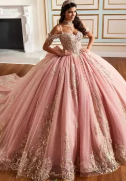 Plus Sized Quince Dresses|Sweet Sixteen^Princesa Quinceanera PR30198