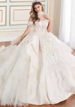 Plus Sized Quince Dresses|Sweet Sixteen^Princesa Quinceanera PR70102
