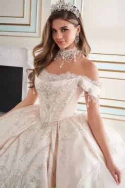 Plus Sized Quince Dresses|Sweet Sixteen^Princesa Quinceanera PR70102