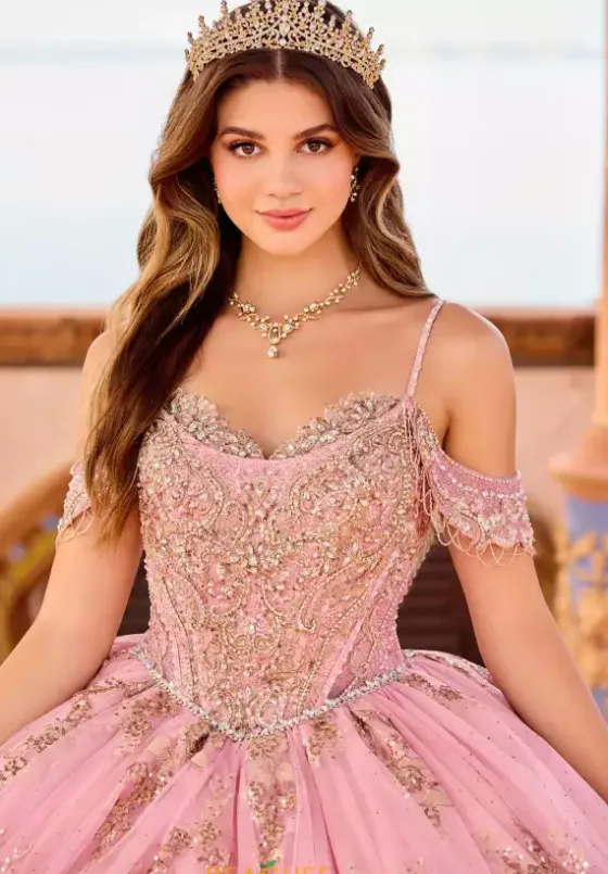 Sweet Sixteen|Plus Sized Quince Dresses^Princesa Quinceanera PR30153