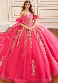 Plus Sized Quince Dresses|Sweet Sixteen^Princesa Quinceanera PR30197