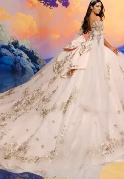 Plus Sized Quince Dresses|Sweet Sixteen^Princesa Quinceanera PR30208