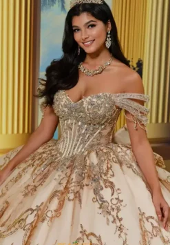 Plus Sized Quince Dresses^Princesa Quinceanera PR30228