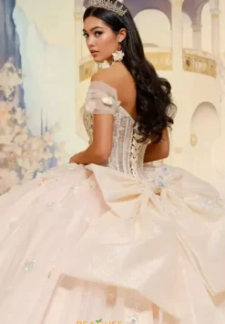 Plus Sized Quince Dresses|Sweet Sixteen^Princesa Quinceanera PR30202