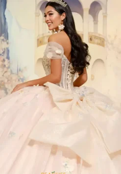 Plus Sized Quince Dresses|Sweet Sixteen^Princesa Quinceanera PR30202