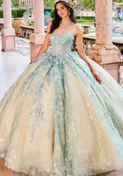 Plus Sized Quince Dresses|Sweet Sixteen^Princesa Quinceanera PR30158