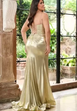 Winter Formal|Plus Sized Dresses^Rachel Allan 70738