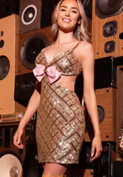 Short Homecoming Dresses|Quince Guest Dresses^Rachel Allan 40551