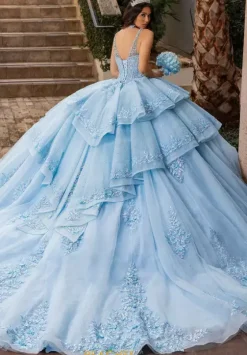 Plus Sized Quince Dresses|Sweet Sixteen^Rachel Allan Quince RQ3158