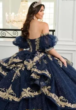 Sweet Sixteen|Plus Sized Quince Dresses^Rachel Allan Quince RQ3153