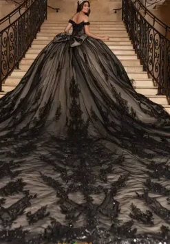 Sweet Sixteen|Plus Sized Quince Dresses^Rachel Allan Quince RQ2247